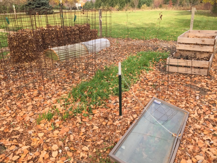 fall leaves and garden cold frames